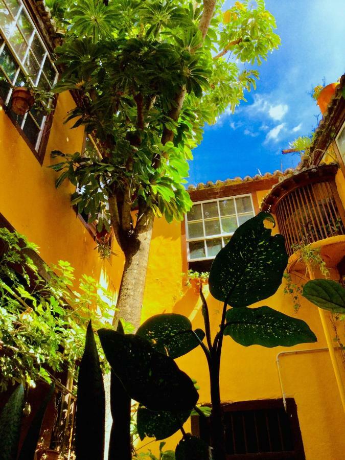 Casa Alves, Ultimo Tercio S. XVI Lejlighed Santa Cruz de la Palma  Eksteriør billede